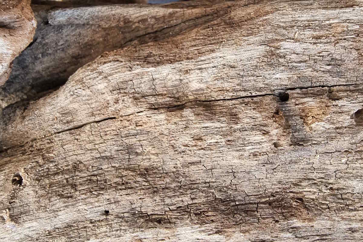 Driftwood Mirror 8